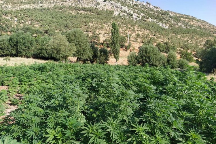 İçişleri Bakanlığı, Diyarbakır'da gerçekleştirilen Eren Abluka-34 Operasyonunda 1 milyon 681