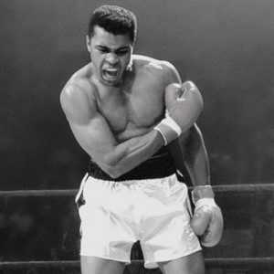 Dünyaca ünlü boksör Muhammed Ali'nin öldüğü iddiası sosyal medyada dolaşmaya
