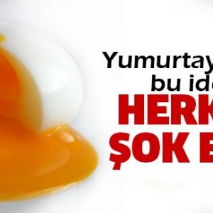 40 günde yetiştirilip sofralarımıza sunulan GDO'lu tavuklardan sonra yumurtalarla ilgi