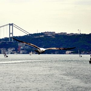 İstanbul Büyükşehir Belediye Başkanı Kadir Topbaş, İstanbul Boğazı’nda Üsküdar-Kabataş arasında