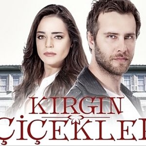 İki sezondur yayın hayatına devam eden, başrollerinde Özgür Çevik ve