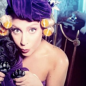 Instagram, Lady Gaga’nın 230 bin takipçisi olan köpeği Missasiakinney’in hesabını