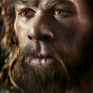 Belçika topraklarında 40 bin yıl önce yaşayan Neandertallerin insan eti