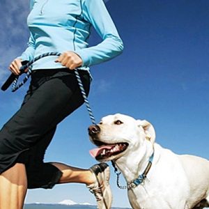 Bilim insanları köpek sahiplenmenin egzersiz yapabilmenin gizli formülü olduğunu açıkladı.