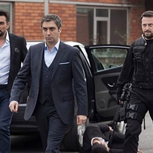 Yayınlandığı ilk gün itibariyle reyting rekorları kıran, tekrar bölümleriyle de