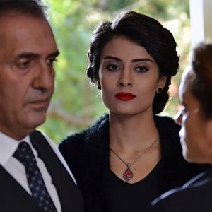 Türkiye’nin yakın tarihine ışık tutan TRT1’in dönem dizisi Sevda Kuşun