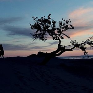 Yönetmen Talip Karamahmutoğlu’nun son filmi Mezarcı’nın merakla beklenen fragmanı yayında!