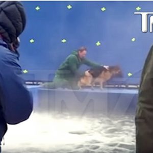 A Dog’s Purpose isimli romandan uyarlanan ve çekimleri hâlâ devam
