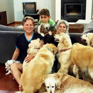 Bodrum’da sokağa atılan ‘golden retriever’ cinsi köpekleri alan ve kurduğu