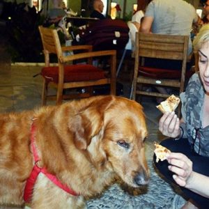 Ticarete soyunan ünlüler arasına katılan ve İstanbul’da bir kebap restoranı