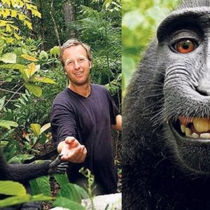 İngiliz vahşi yaşam fotoğrafçısı David Slater, yıllardır tartışmalara konu olan