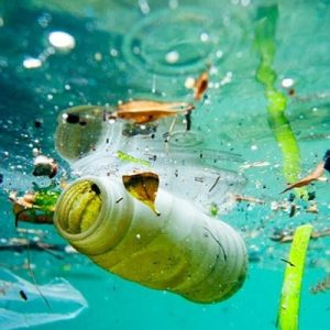 ABD’li bilim insanları şimdiye kadar üretilen plastik miktarını 8,3 milyar