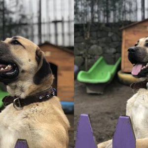 15 Şubat pek çok insan için “umuda ve iyiliğe” olan