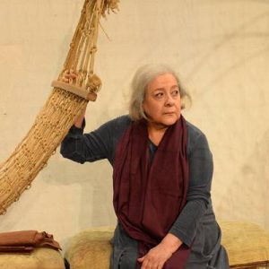 Vatanım Sensin dizisinde Halit Ergenç’in annesine hayat veren Celile Toyon,