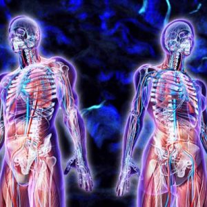Bilim insanları, İnsan vücudunda daha önceden bilinmeyen bir organ buldu.