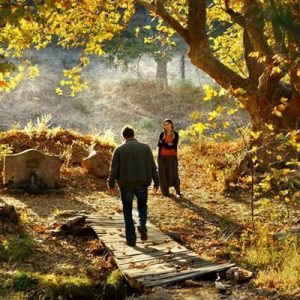 T.C. Kültür ve Turizm Bakanlığı Sinema Genel Müdürlüğü ile sinema