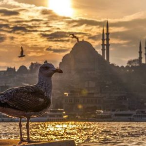 17 Ağustos 1999 depreminin yıl dönümü yarın çeşitli etkinliklerle anılacak.