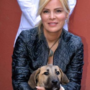 Hayvanseverler, köpeklerini gezdirmek için kapı önüne çıkabilecekler. HAÇİKO (Hayvanları Çaresizlik