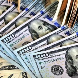 Yaklaşık iki yıldır ABD doları karşısında değer kaybı devam eden