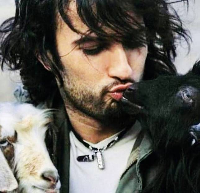 Tarkan