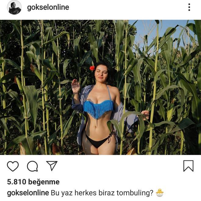 Göksel