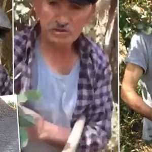 Sivas Gemerek’te, 75 yaşındaki bir kişi, köpeğe tecavüz ederken yakalandı.