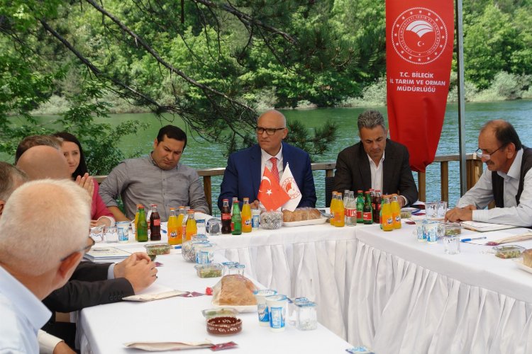 Türkiye’de sadece Bilecik’in Pazaryeri ilçesinde yetiştirilen Endüstrisel bitki şerbetçiotunun fiyat