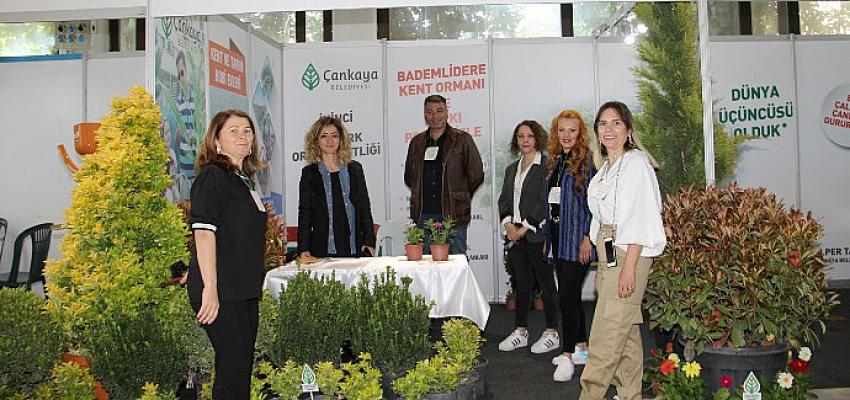 Çankaya Belediyesi, bu yıl ilki düzenlenen Flower Fest Çiçek, Süs