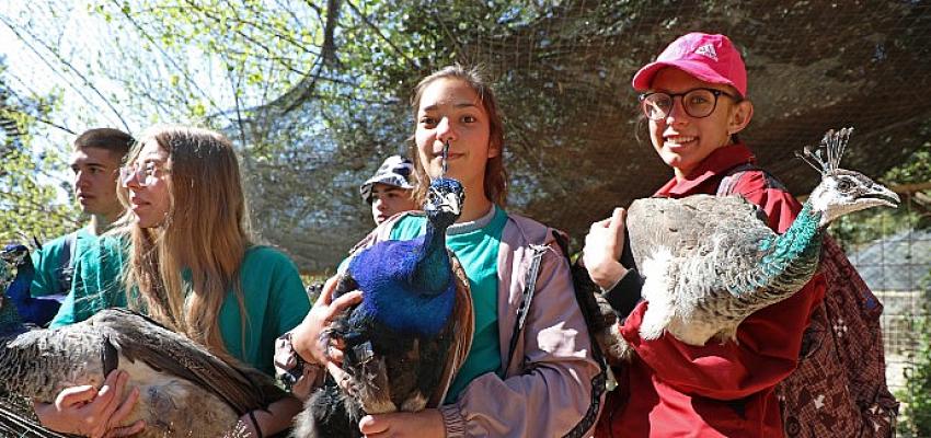 Antalya Büyükşehir Belediyesi Hayvanat Bahçesi ve Doğal Yaşam Parkı, Erasmus