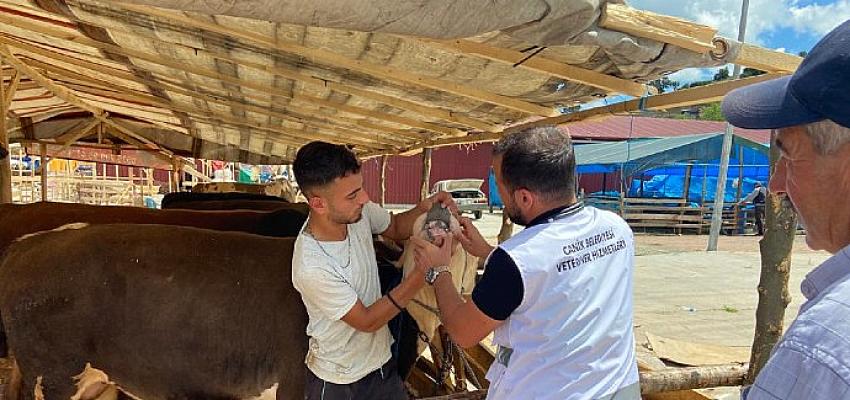 Yaklaşan Kurban Bayramı öncesi halkın yoğun ilgi gösterdiği Canik Belediyesi