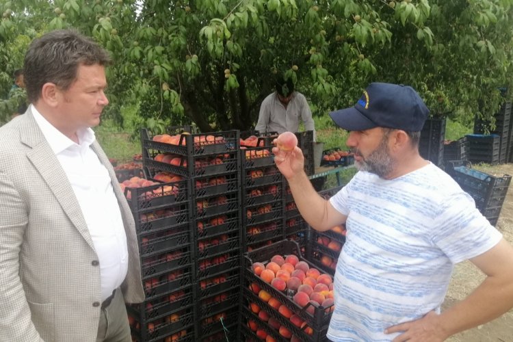 CHP Bursa Milletvekili Erkan Aydın, Bursa'nın Osmangazi ilçesine bağlı Aksungur