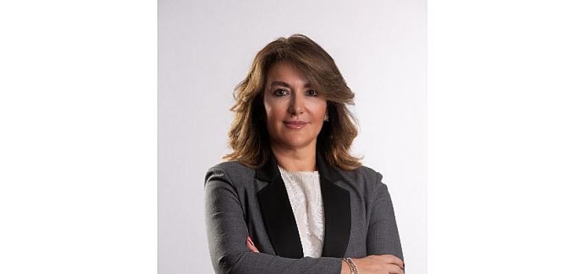 Çeşitli iş kollarında yatırımlarıyla 4 kıta ve 14 ülkede faaliyet