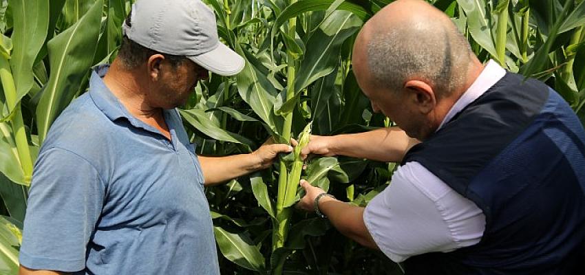 Kocaeli Büyükşehir’in tohum gübre ve mazot desteğinden faydalanan çiftçiler; “Büyükşehir