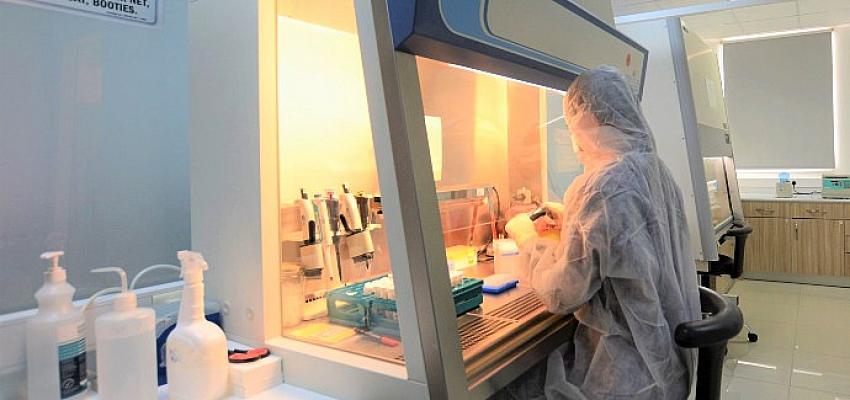 Yakın Doğu Üniversitesi araştırmacıları, COVID-19’dan sonra, Maymun Çiçeği hastalığını 1