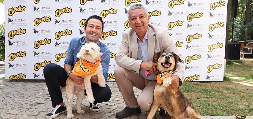 PepsiCo’nun önde gelen atıştırmalık markası Cheetos, sokak hayvanlarının yaşam koşullarını