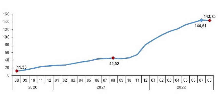 Yİ-ÜFE (2003=100) 2022 yılı Ağustos ayında bir önceki aya göre