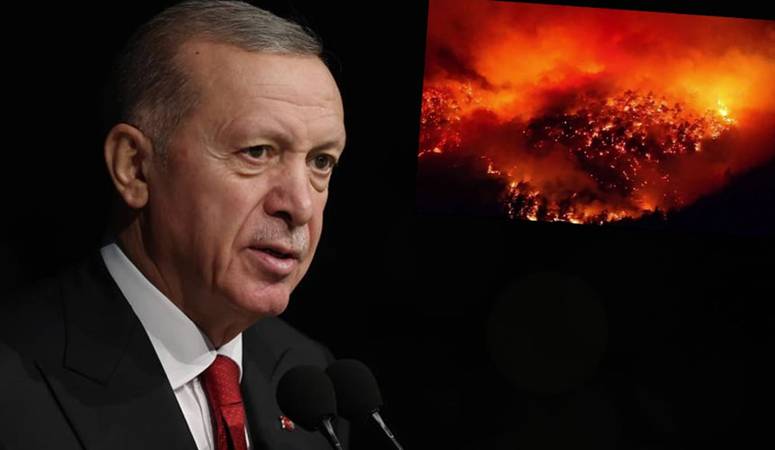 Cumhurbaşkanı Erdoğan, Türkiye genelindeki orman yangınlarına ilişkin açıklamalarda bulundu. Erdoğan,